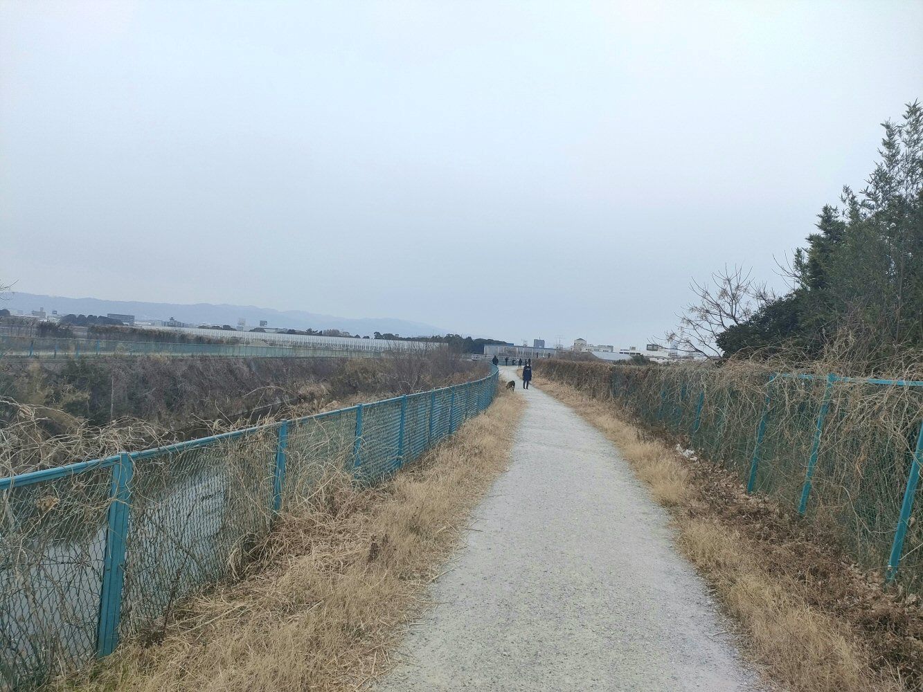 ItamiAP 01