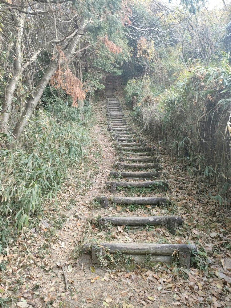 diamond_trail1_09