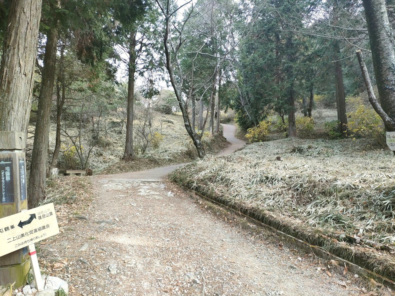 diamond_trail1_12