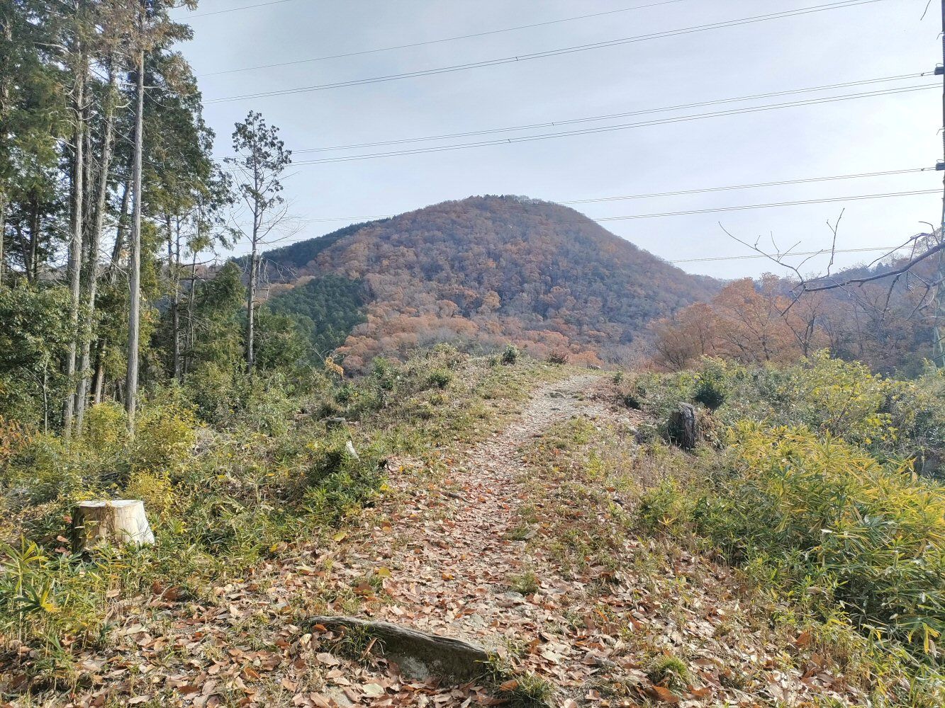 diamond_trail1_10