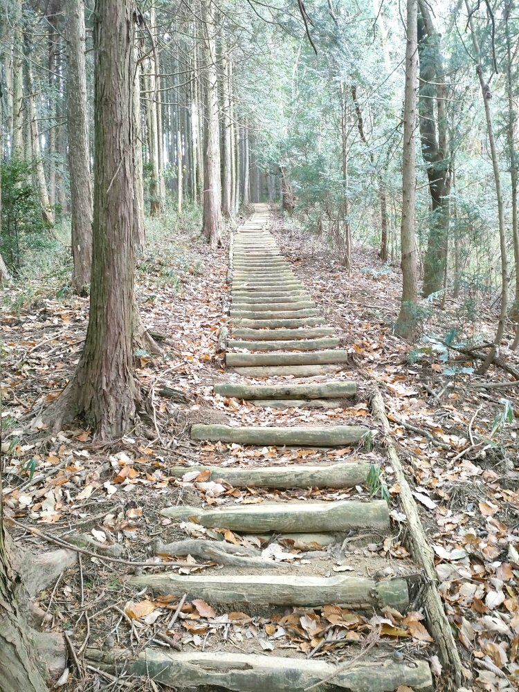 diamond_trail1_26