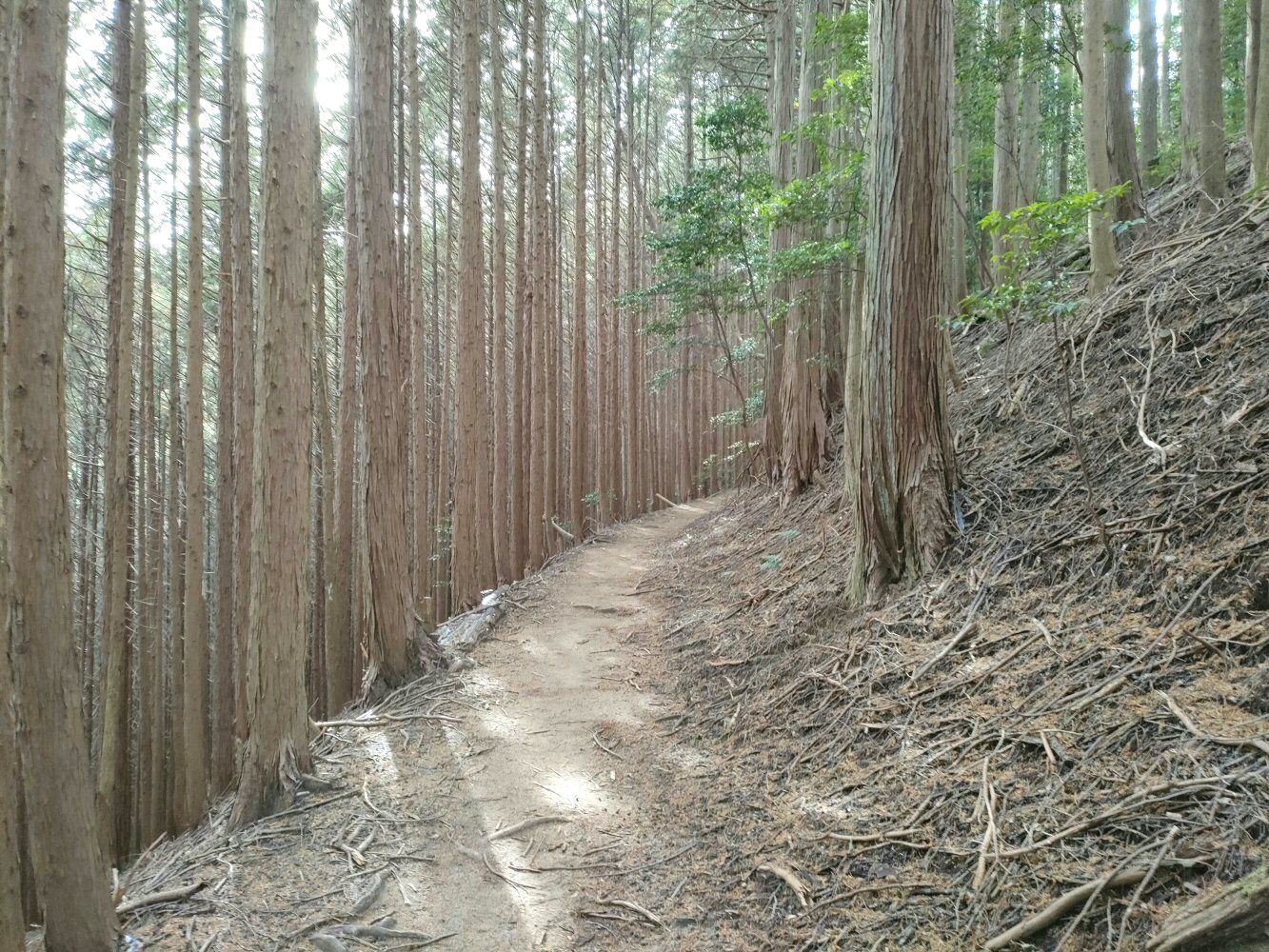 diamond_trail1_29