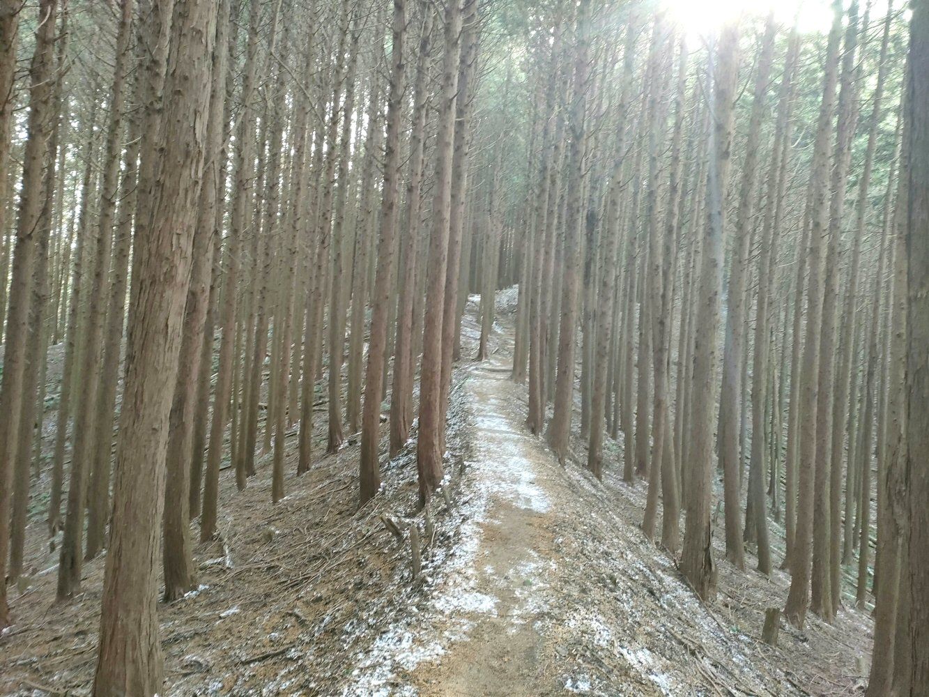 diamond_trail1_30