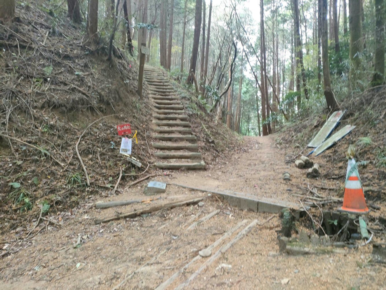 diamond_trail1_19