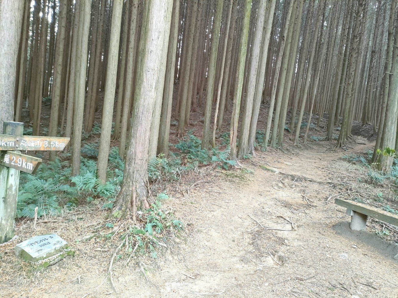 diamond_trail1_28