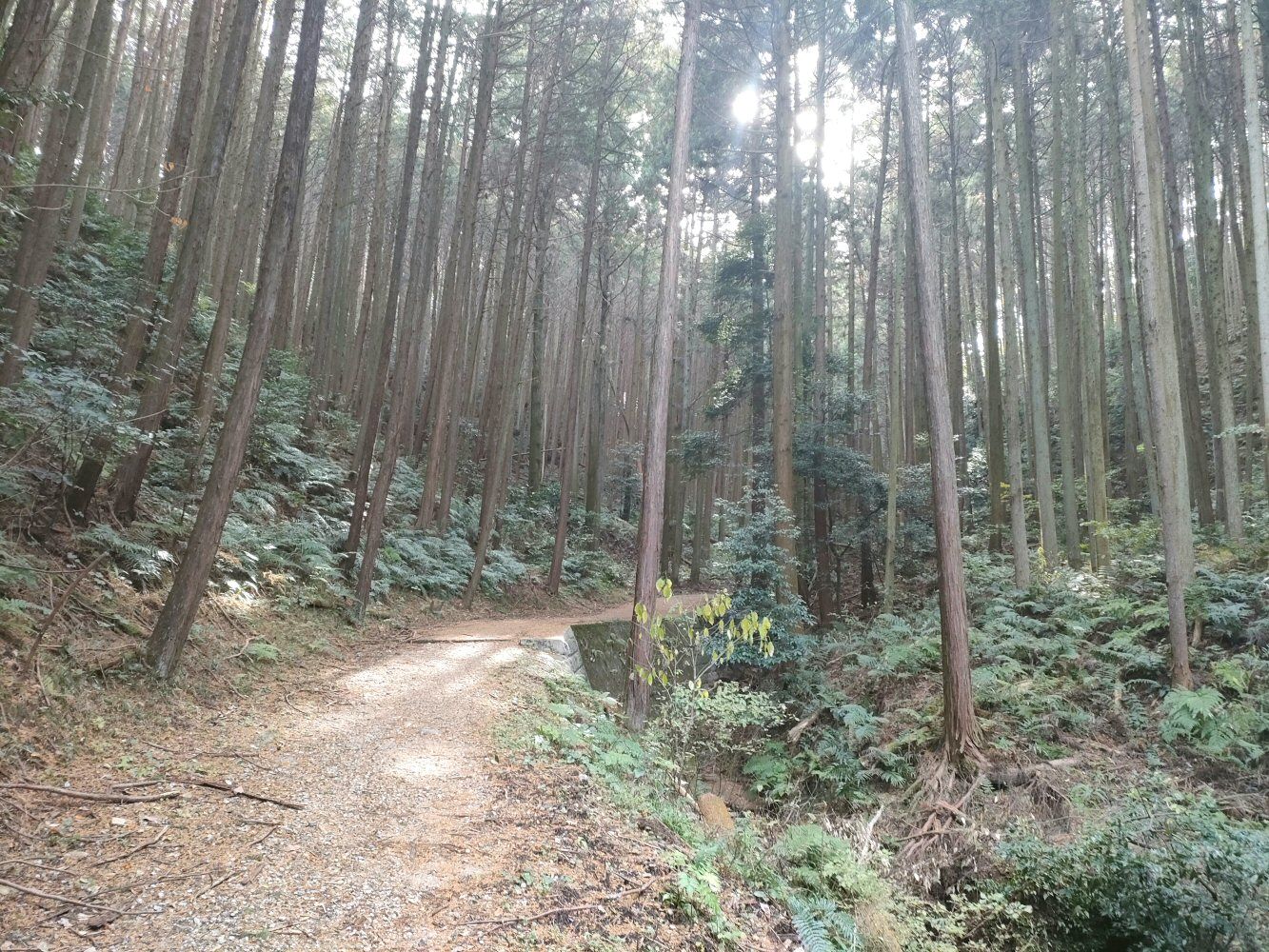 diamond_trail1_17