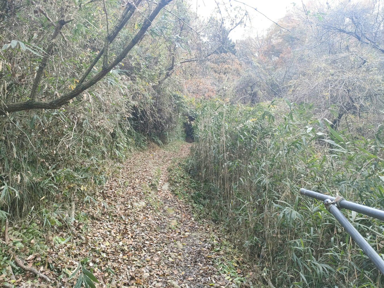 diamond_trail1_06