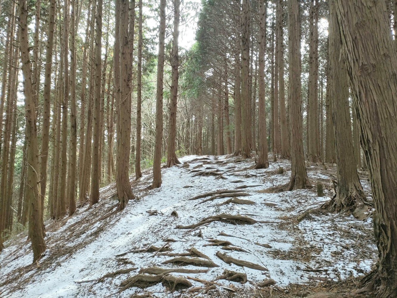 diamond_trail1_33