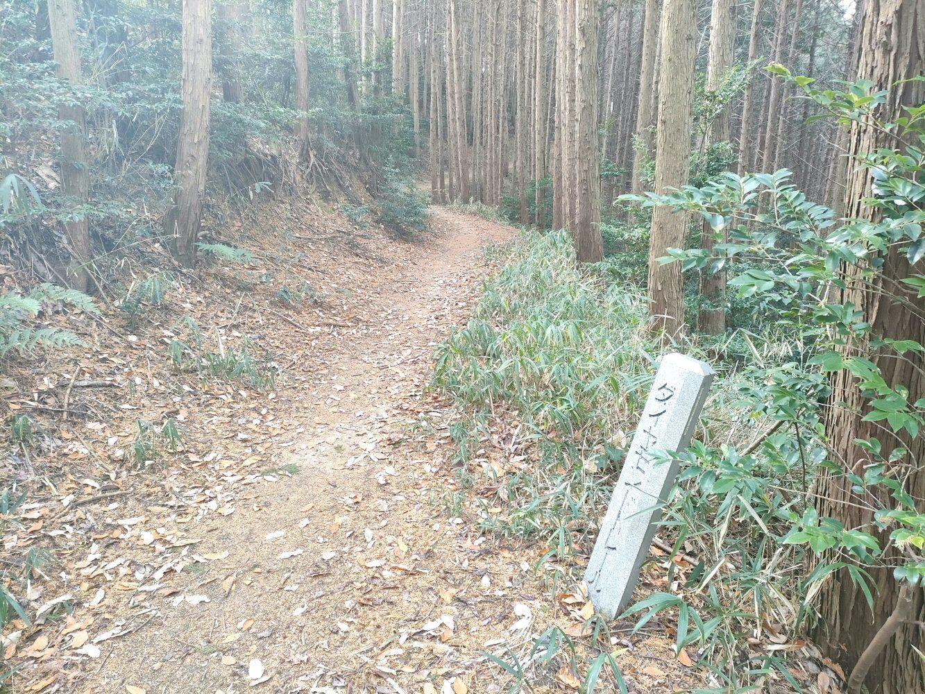 diamond_trail1_18