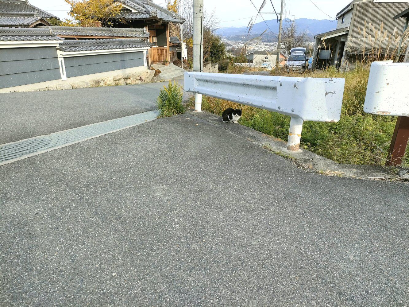 diamond_trail1_39