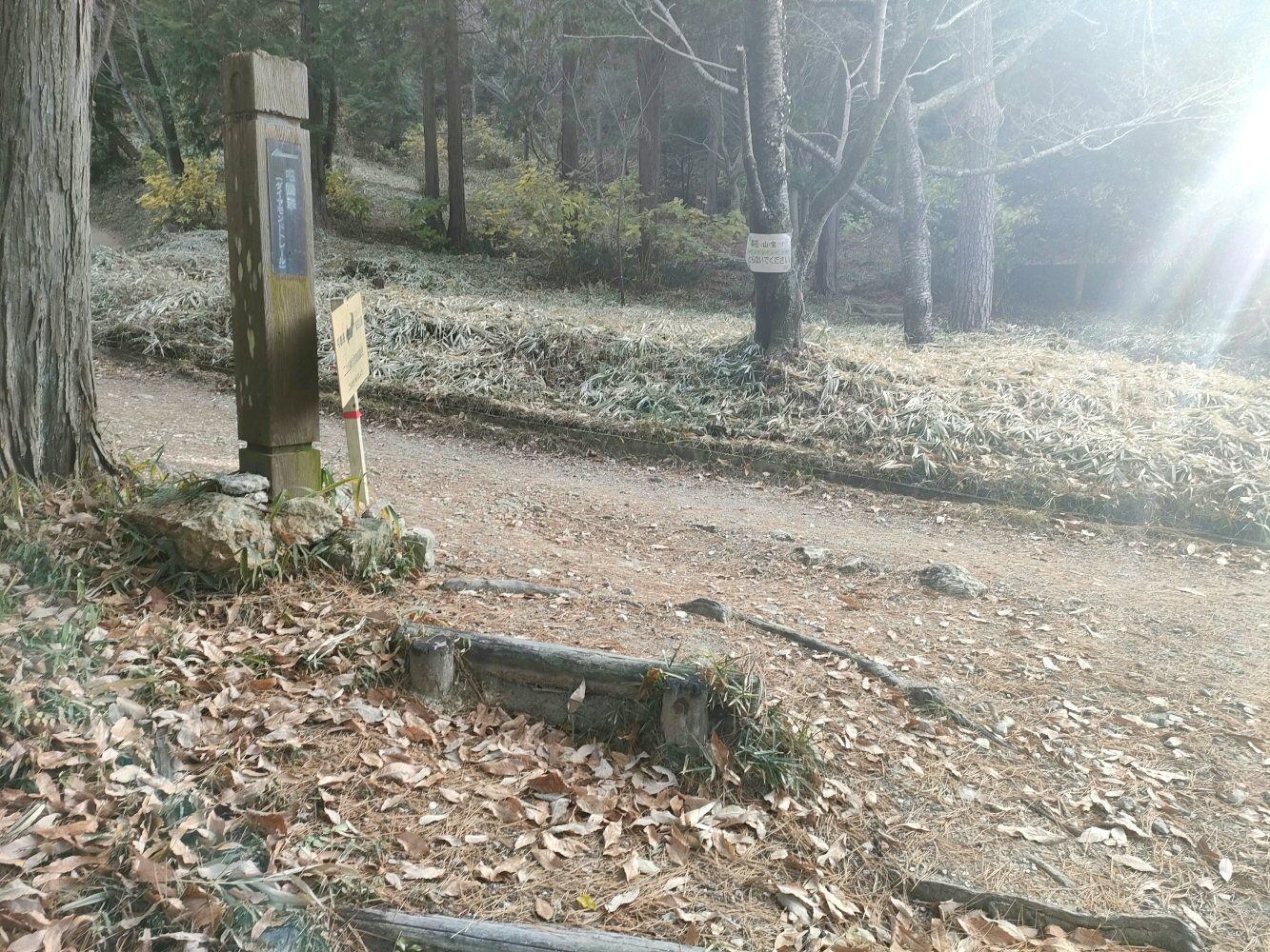diamond_trail1_11