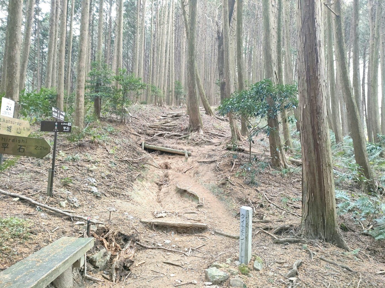 diamond_trail1_24