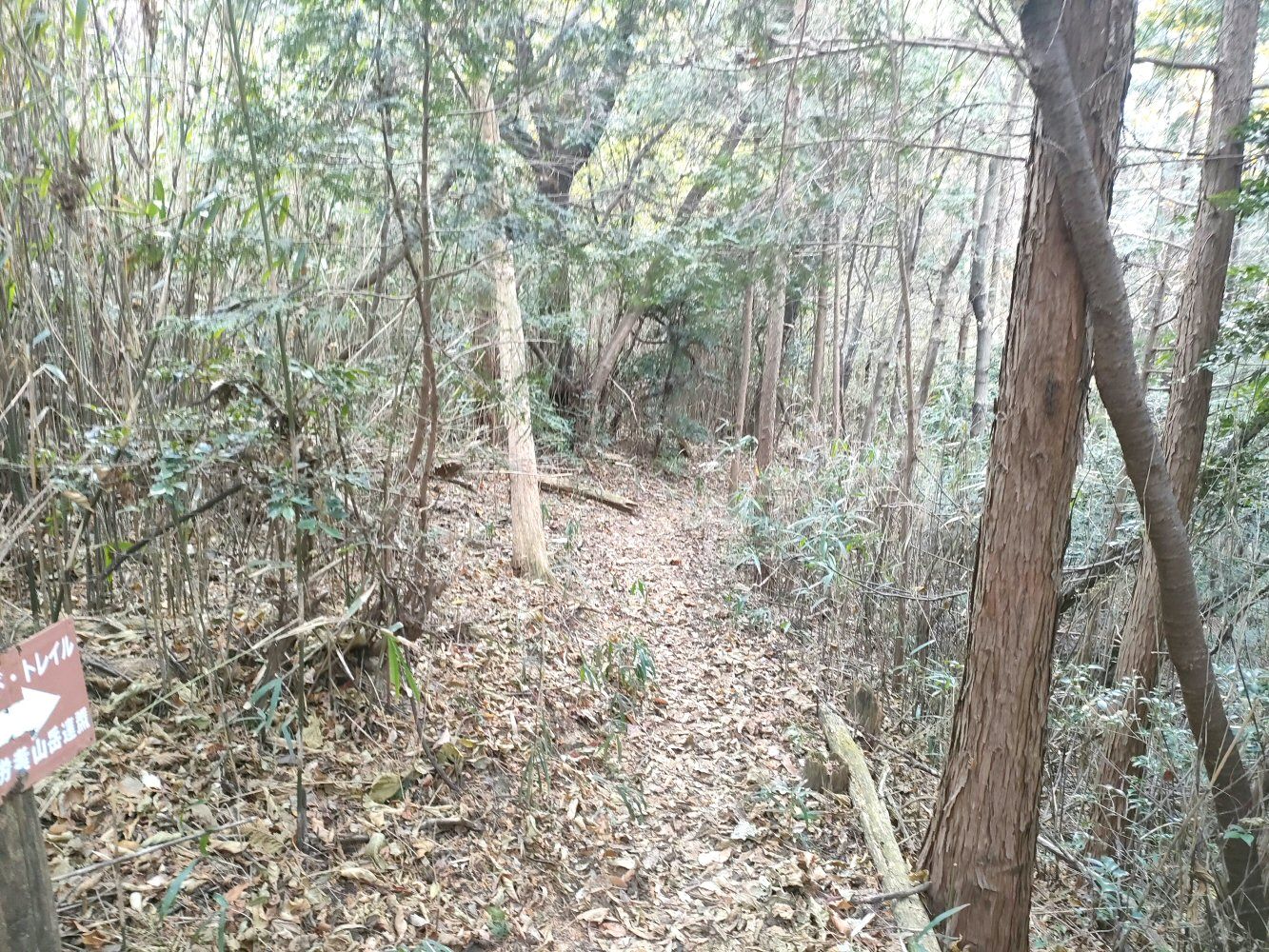 diamond_trail1_14