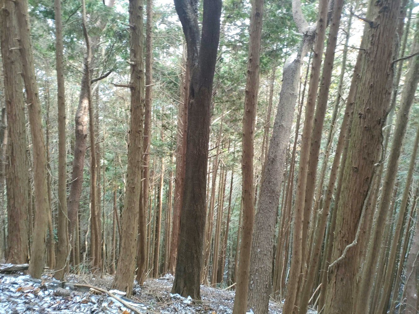 diamond_trail1_31