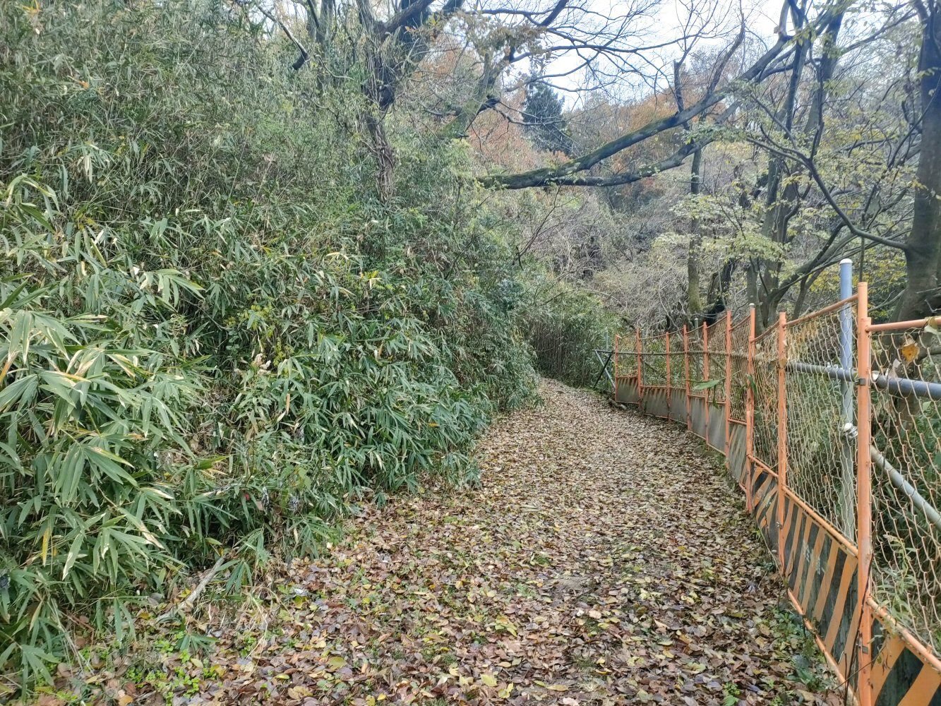 diamond_trail1_05