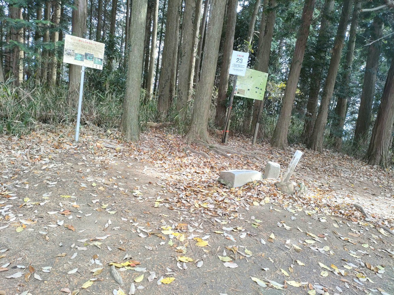 diamond_trail1_22