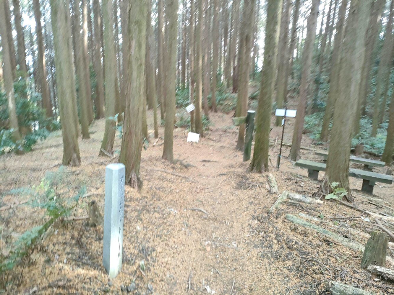 diamond_trail1_20