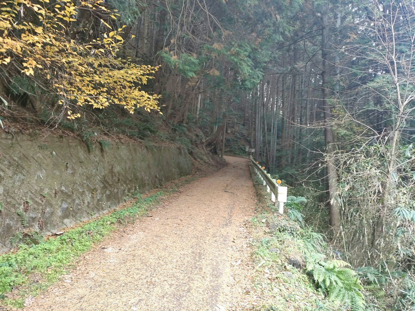 diamond_trail1_16