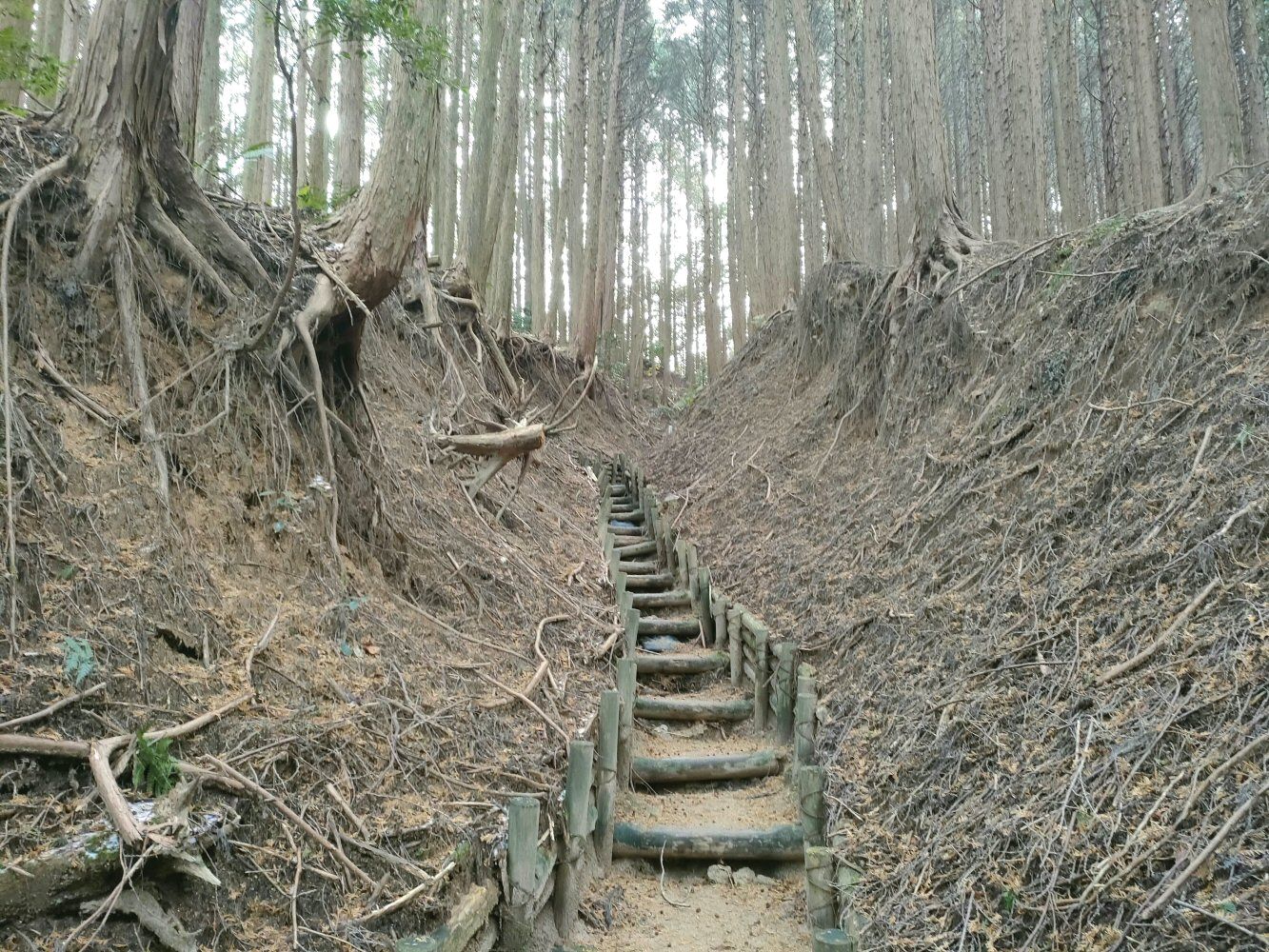 diamond_trail1_27