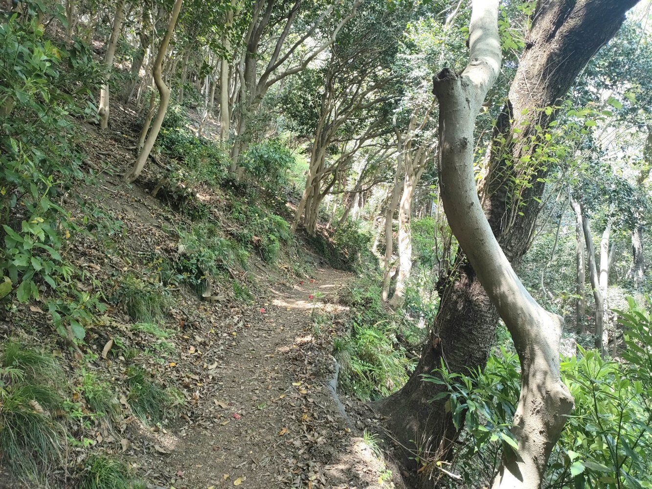 IMG20250426103505