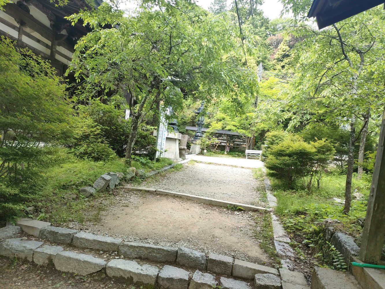 IMG20250523142742