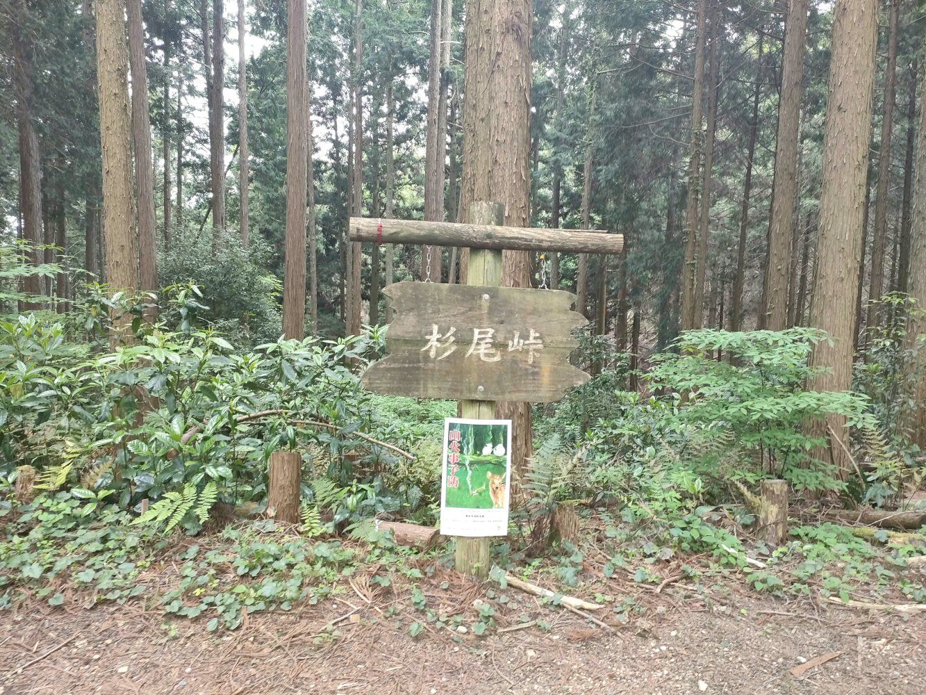 IMG20250516141832