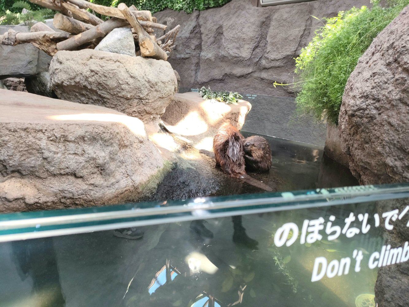 IMG20250426151436