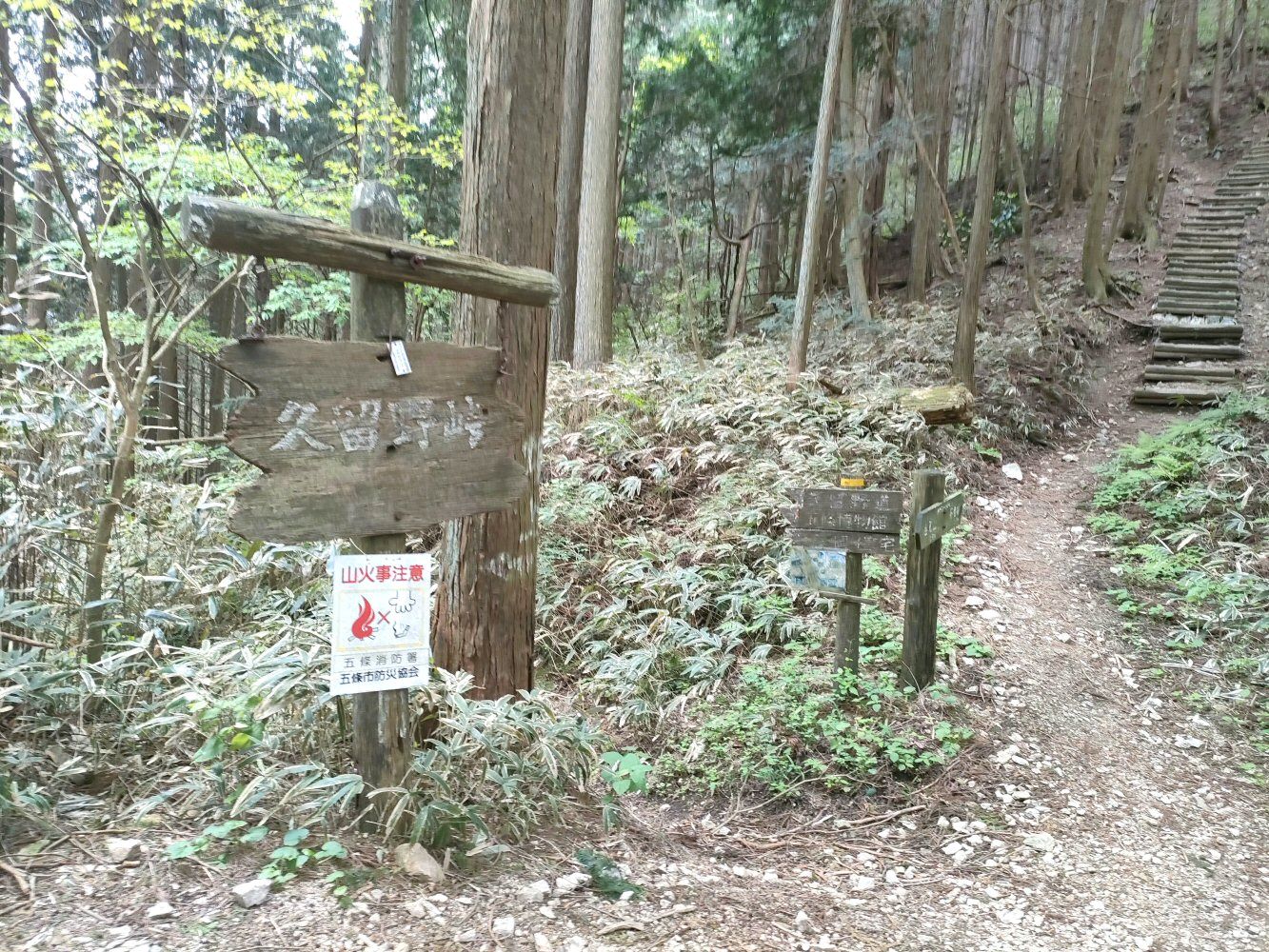 IMG20250516125458