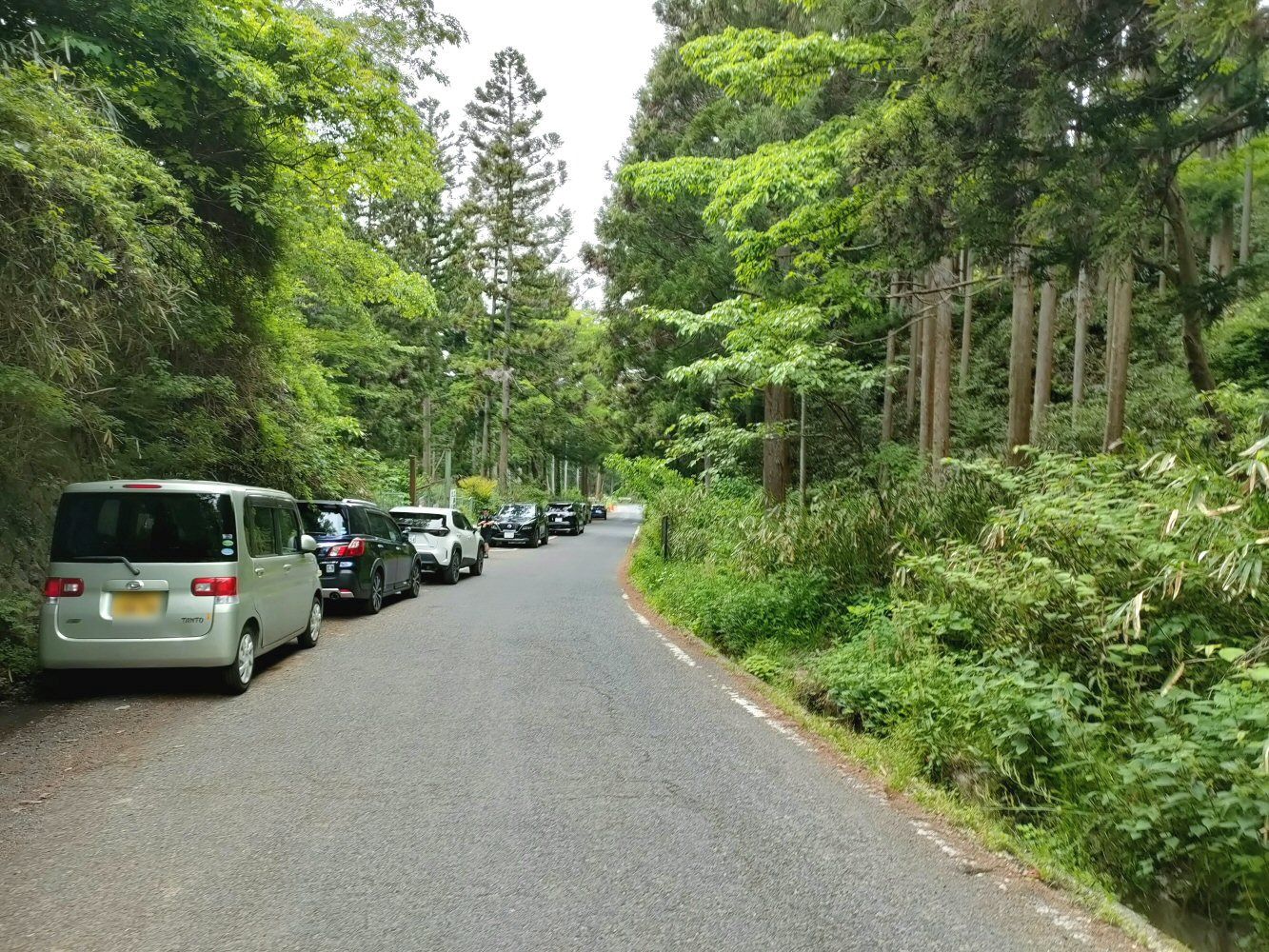 IMG20250516105342