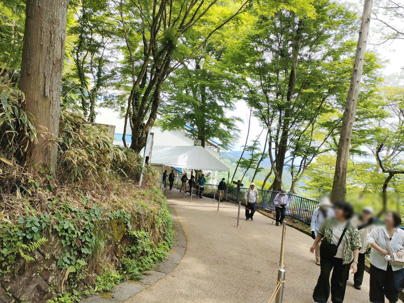 IMG20250516100422