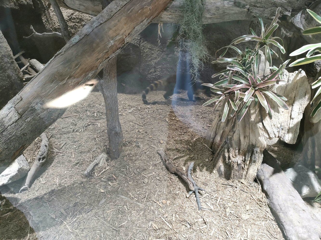 IMG20250426151945