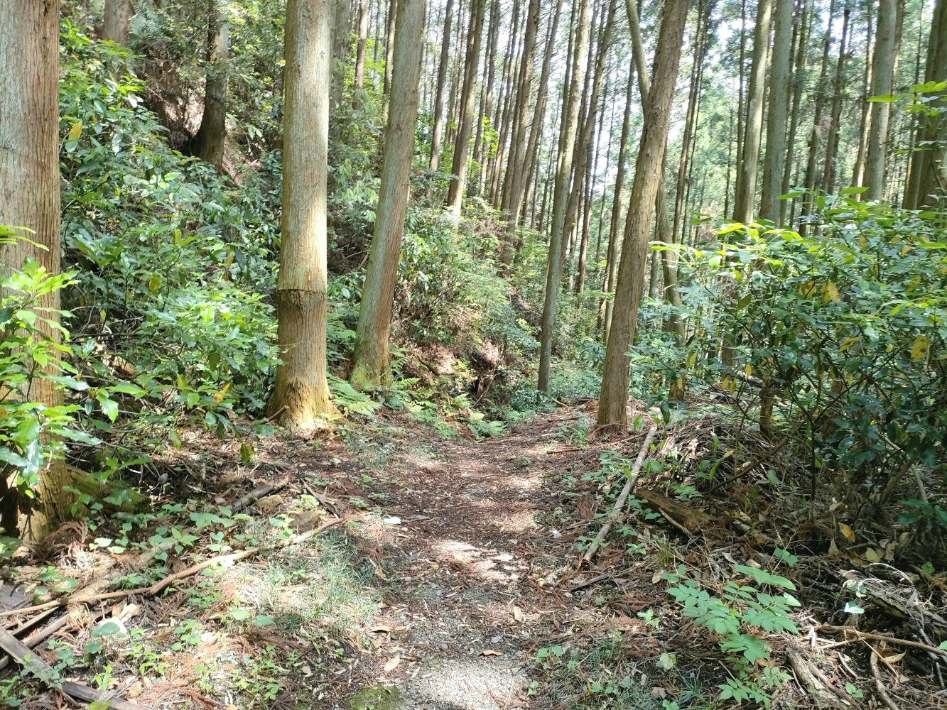 IMG20250523095946