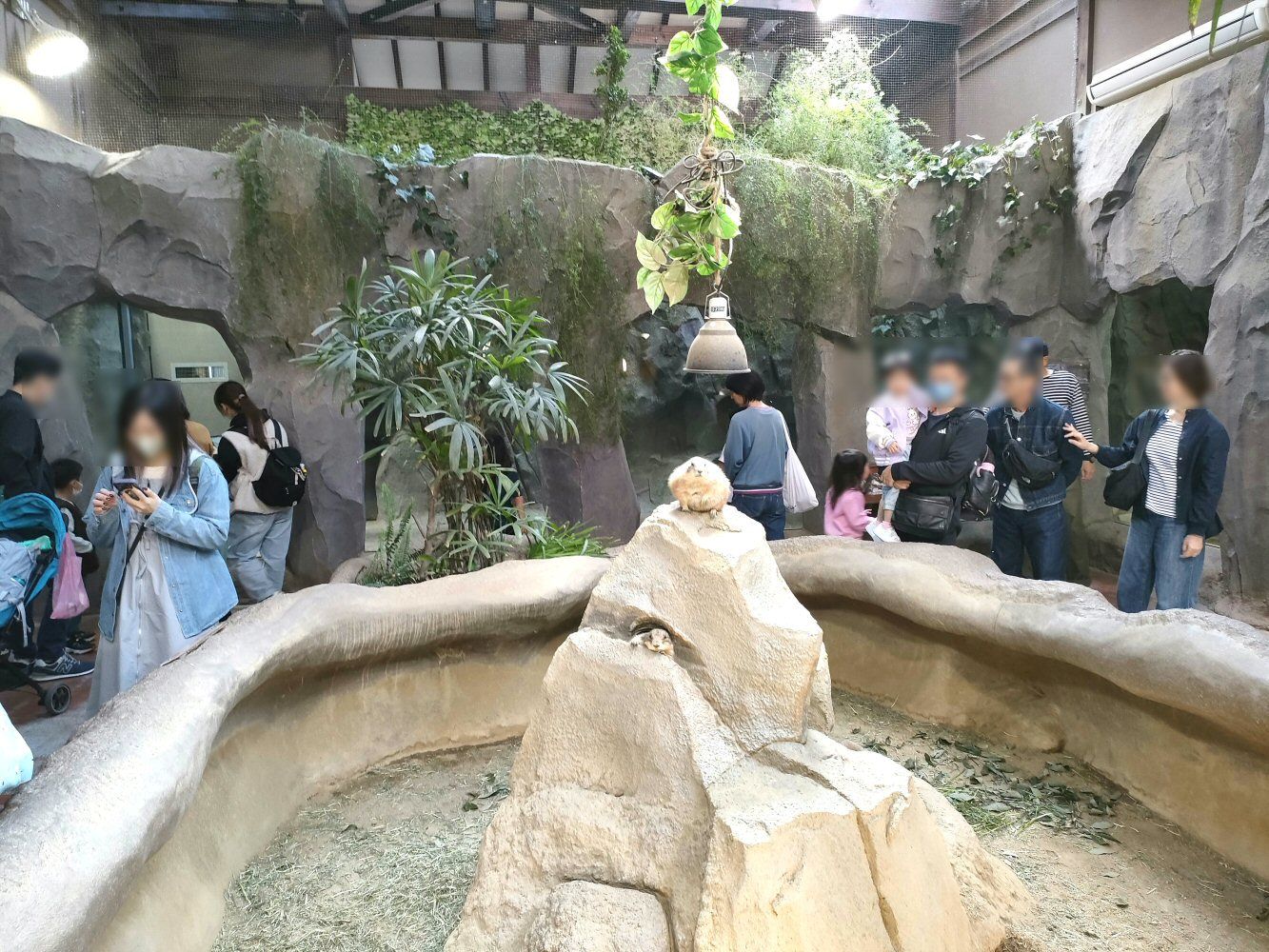 IMG20250426151714