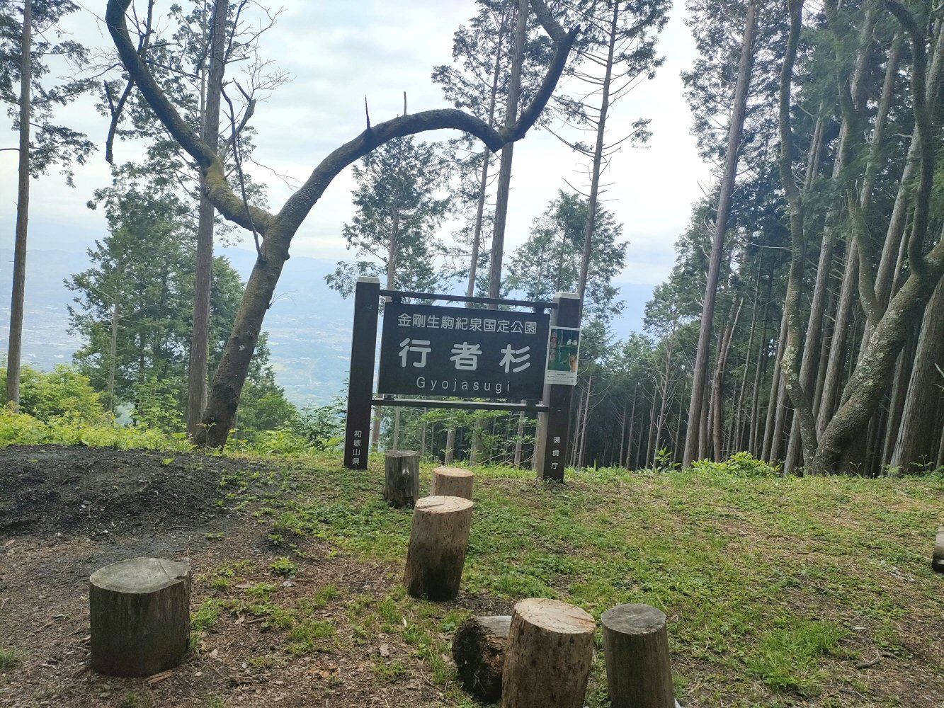 IMG20250516140348