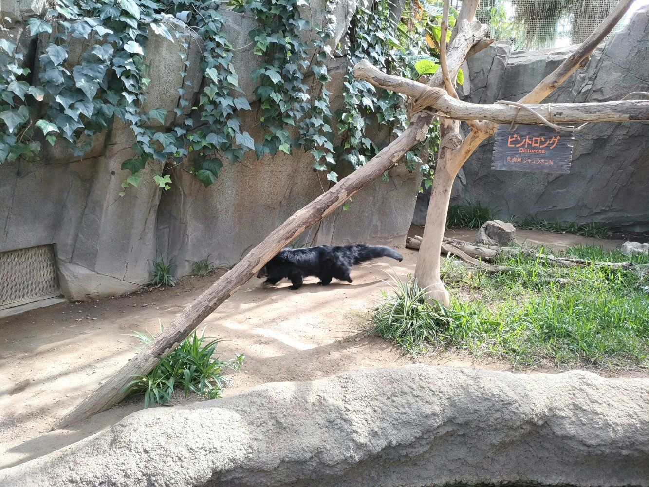 IMG20250426150831