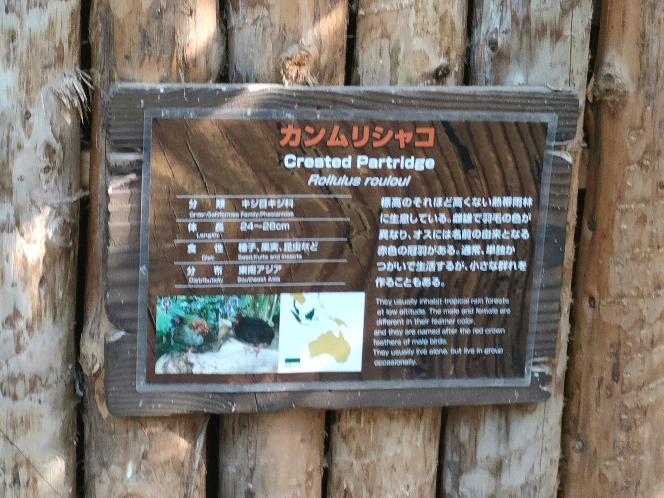 IMG20250426155956