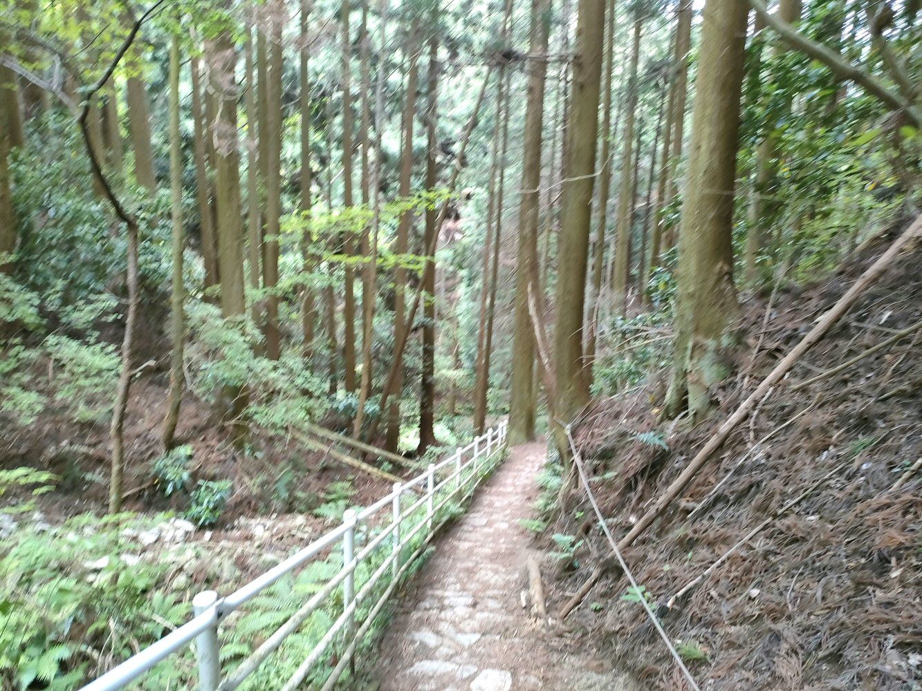 IMG20250516104902