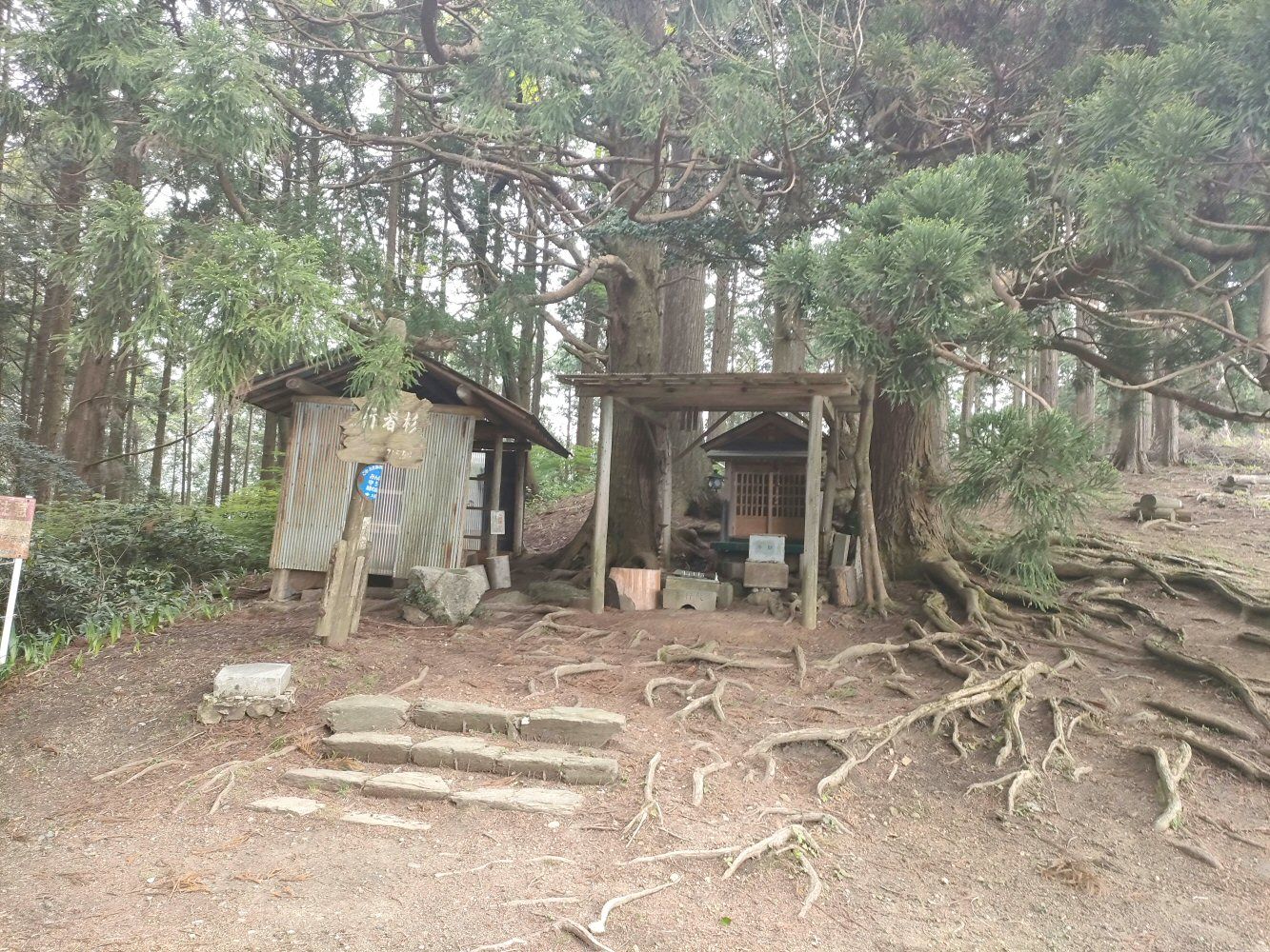 IMG20250516140355