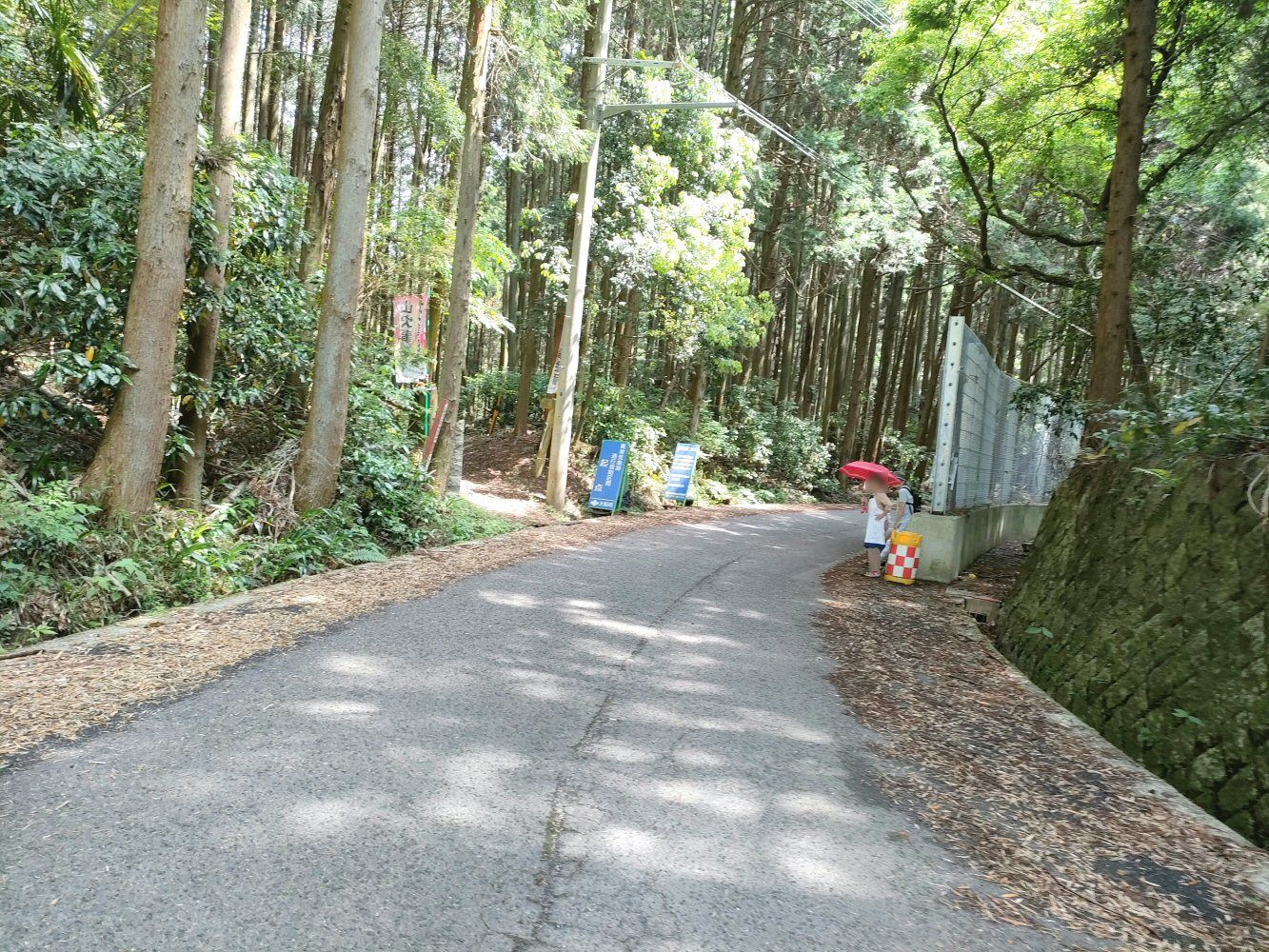 IMG20250523095925