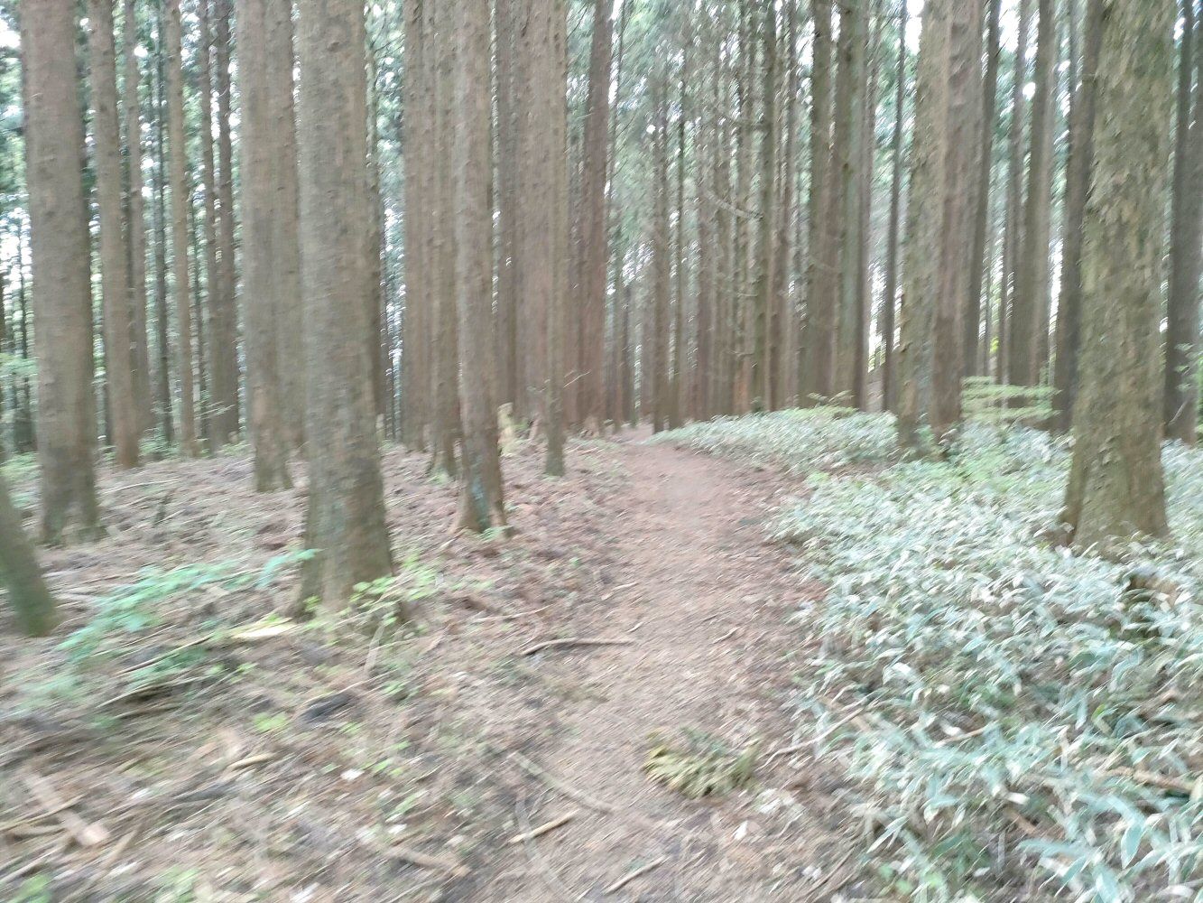 IMG20250516124233
