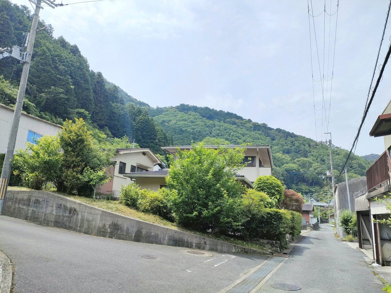 IMG20250523131944