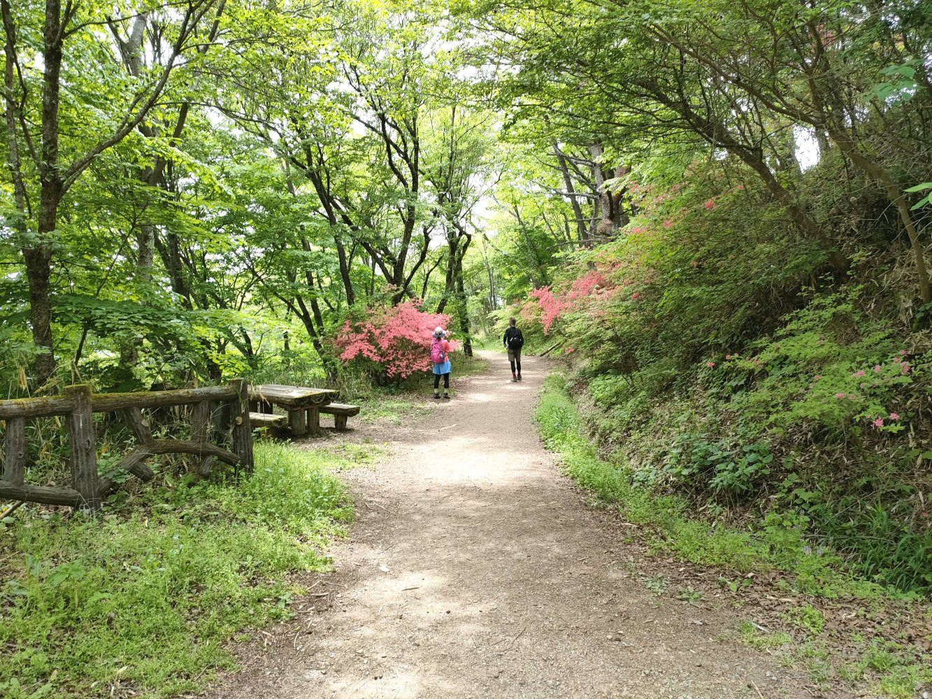 IMG20250516101633