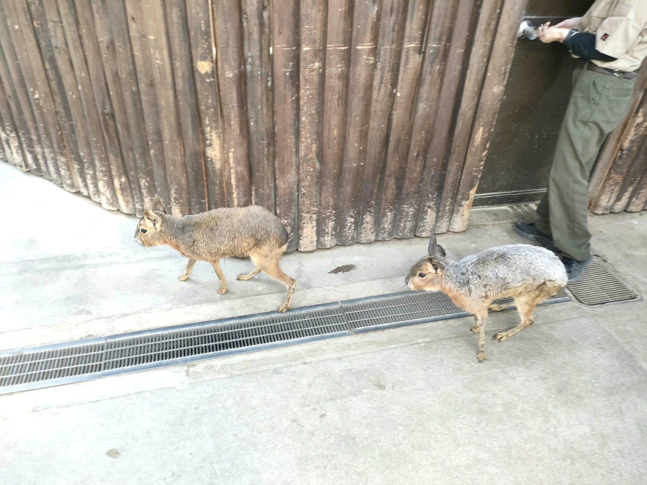 IMG20250426155300
