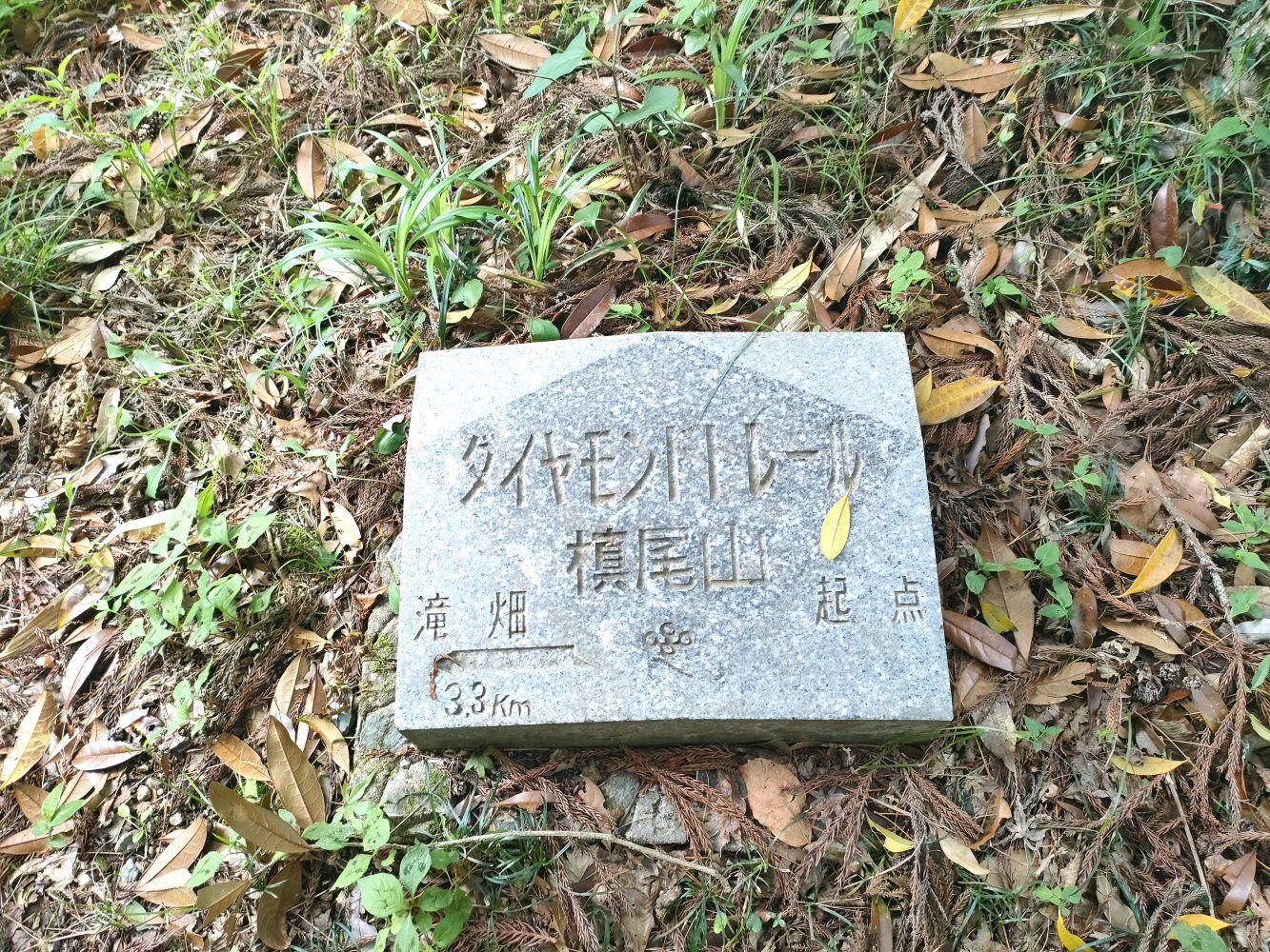IMG20250523142725