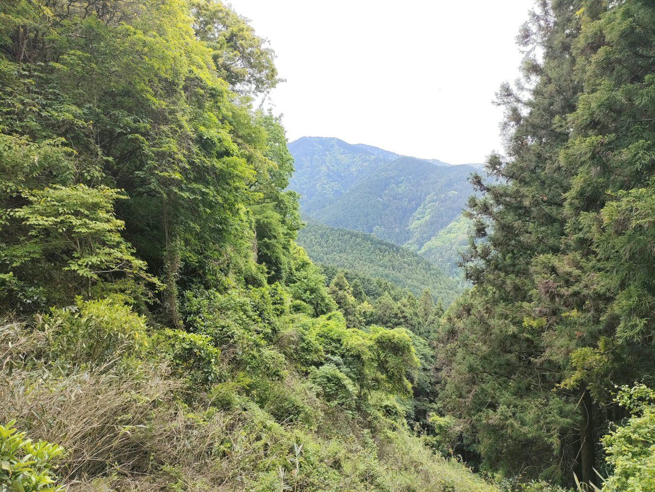 IMG20250516104646