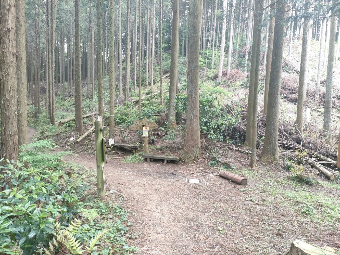 IMG20250516141823