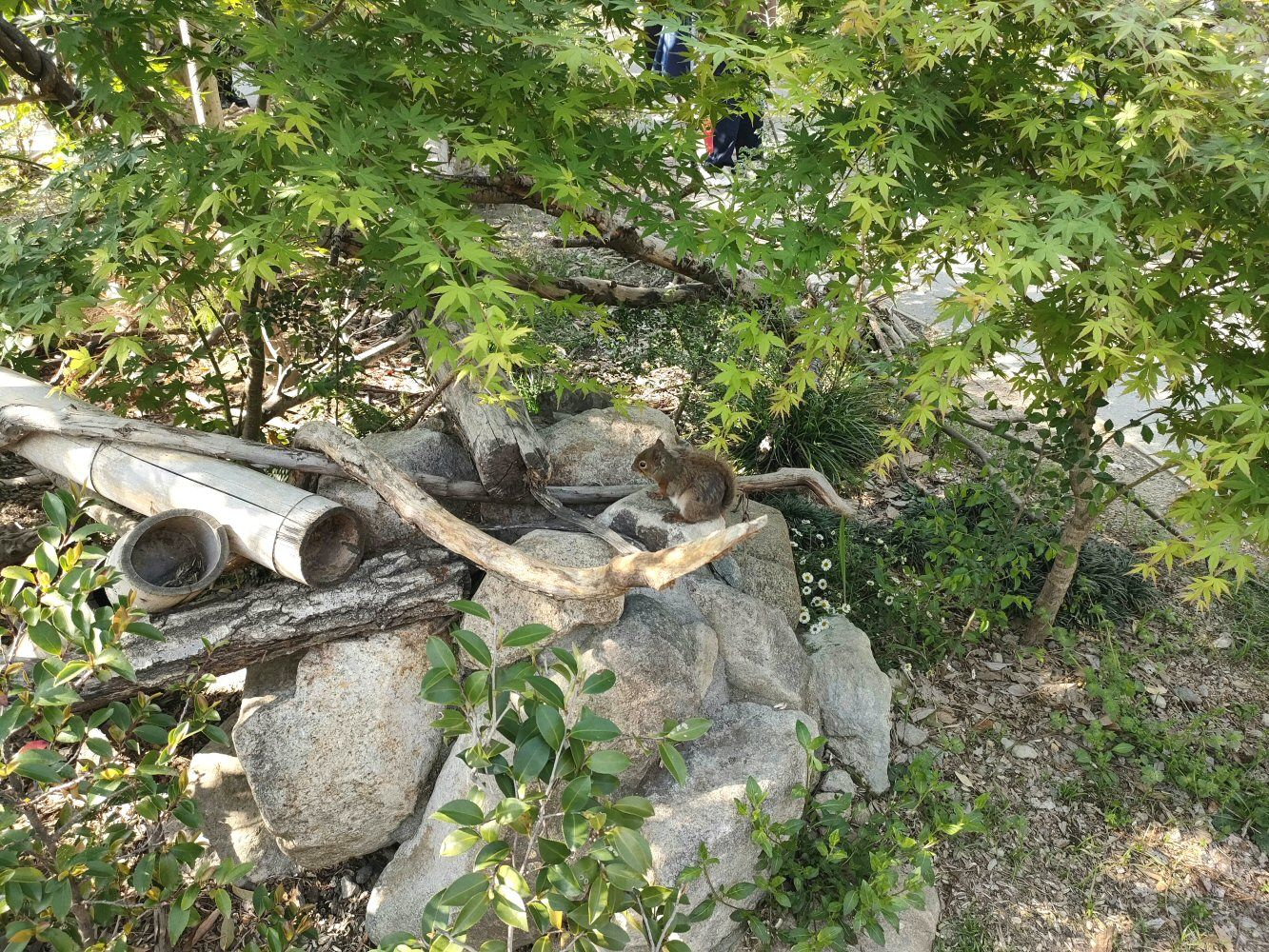 IMG20250426154538