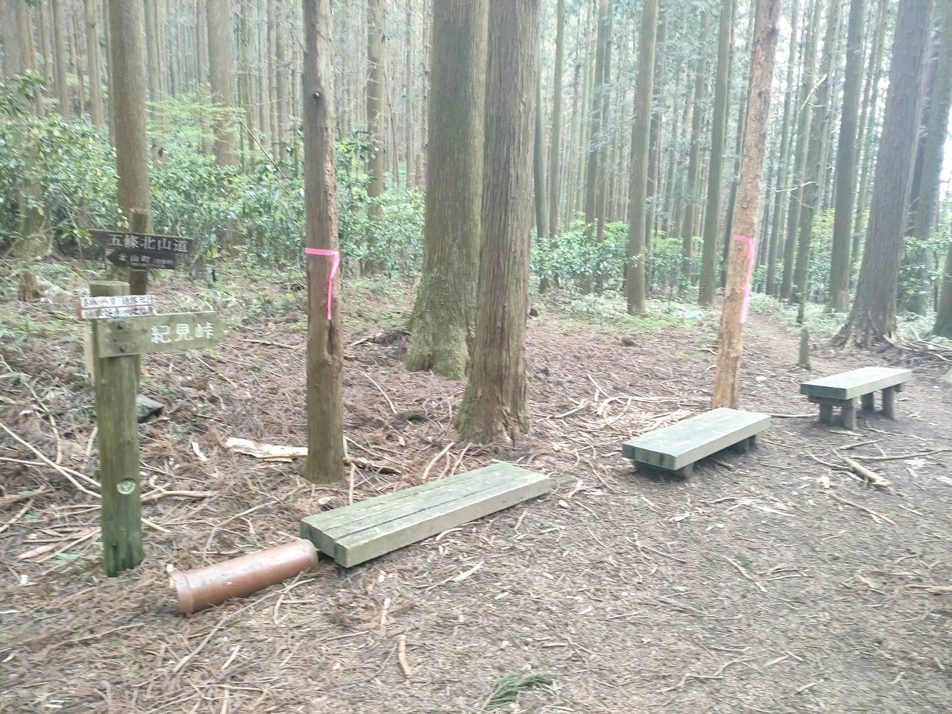 IMG20250516133412