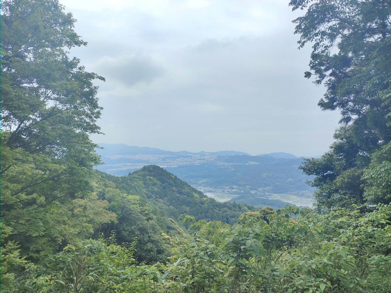 93269421
