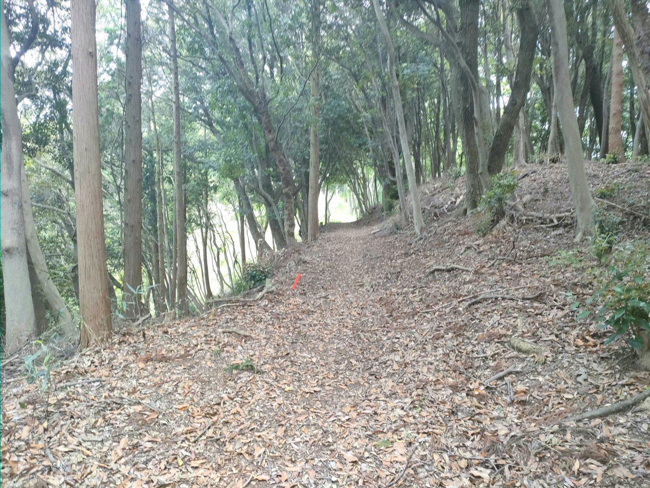 98285282